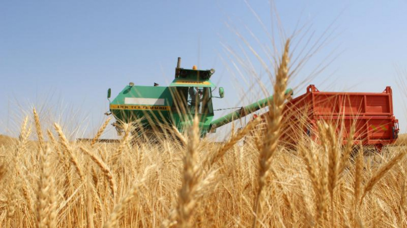 اتاكاسىپتەگى تارتىپسىزدىك رەتتەلۋگە ءتيىس