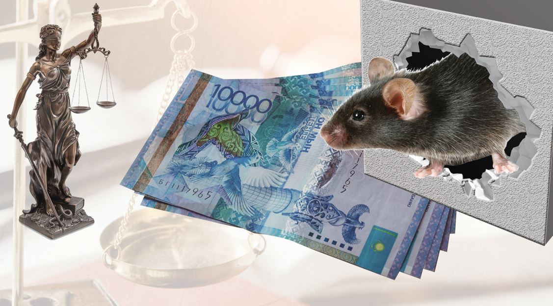 جەمقورلىق – اشكوزدىك كورىنىسى