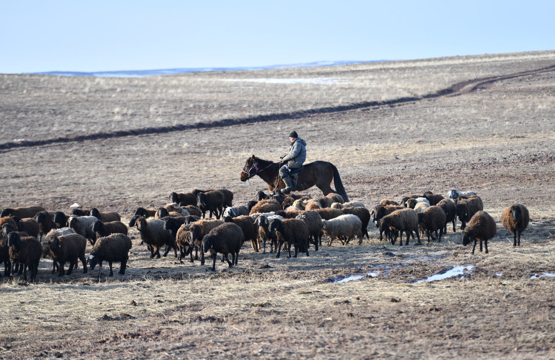 باعىمداعى مالدىڭ باسى ازايدى