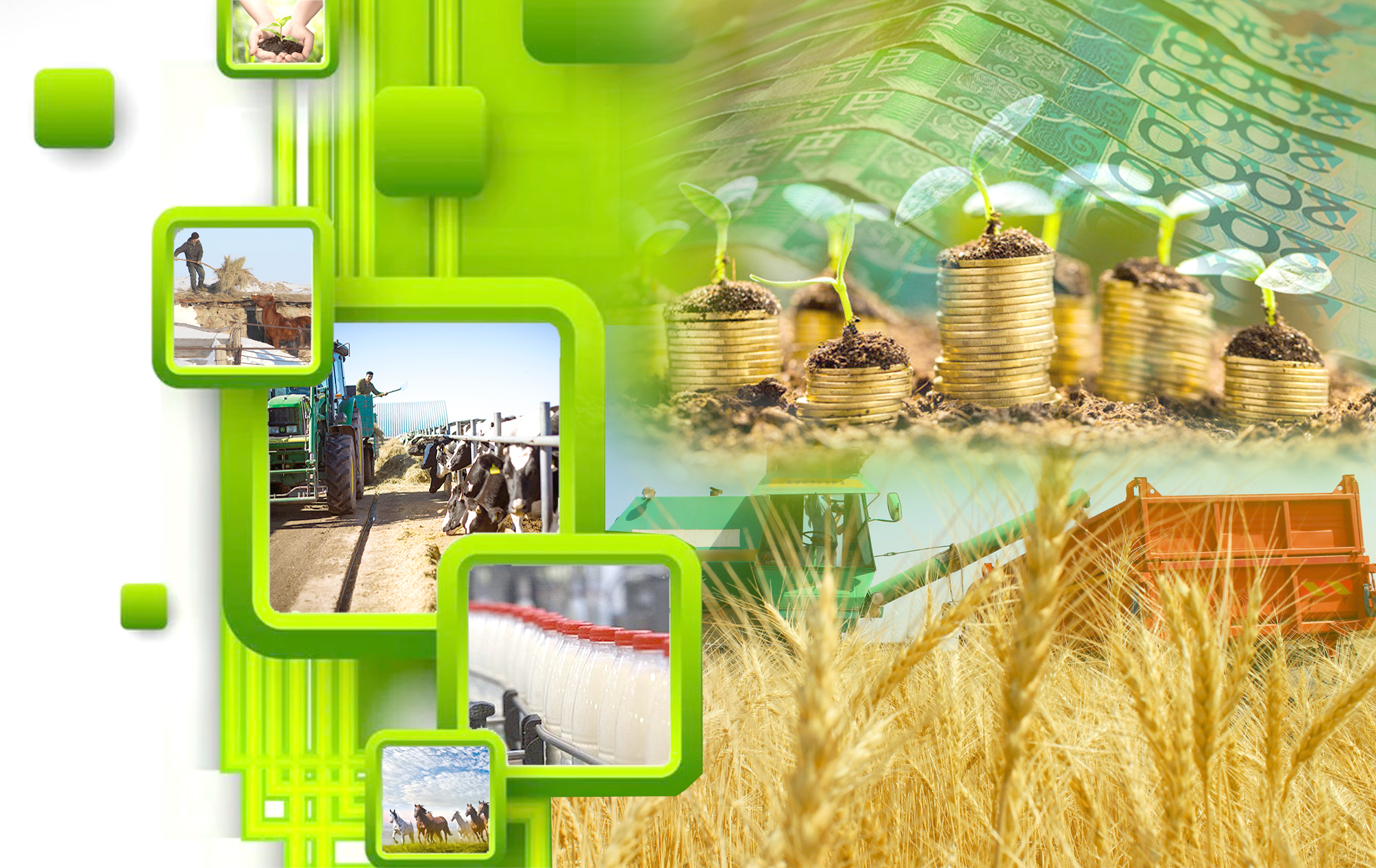 ترانسفەرتتەر كوزدەگەن نىسانىنا جەتۋى شارت