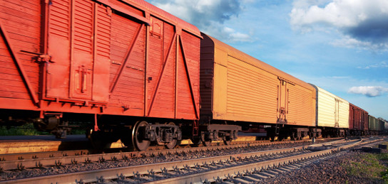 جۇك تاسىمالى ءجىتى باقىلاۋدا