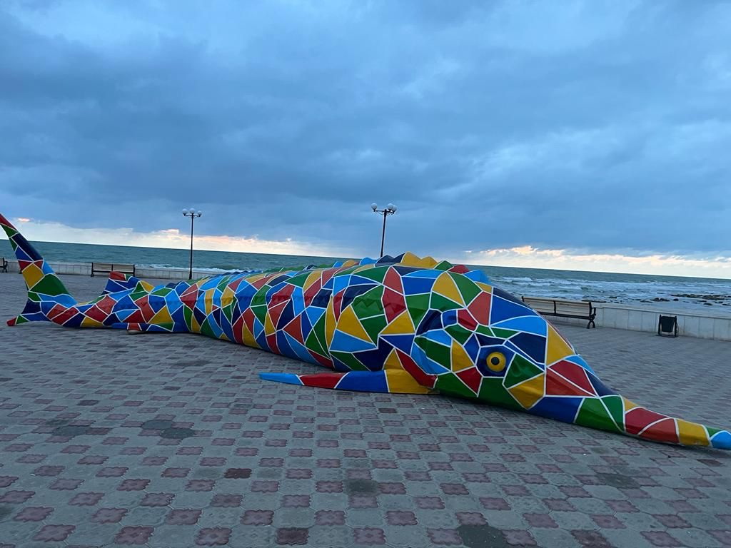 بەكىرەگە بەلگى قويدى