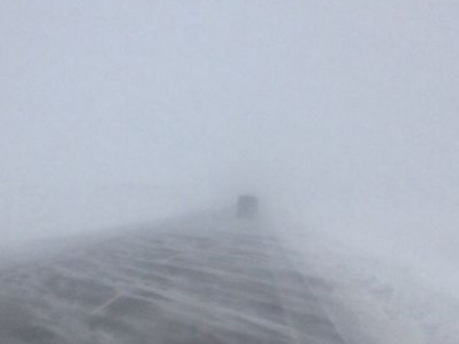 الماتى وبلىسىندا جول جابىلدى