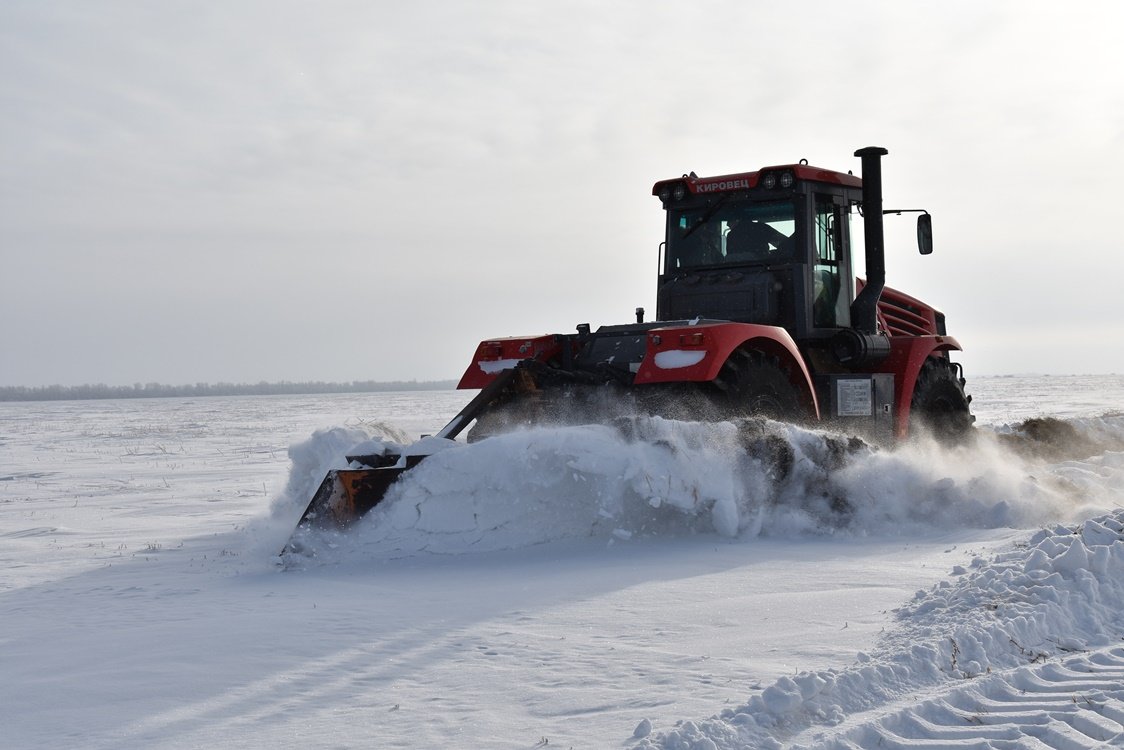 ديقاننىڭ كوڭىلى دالادا