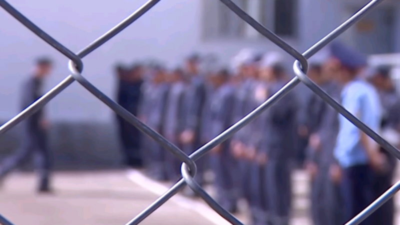 85 ادام بوستاندىققا شىقتى