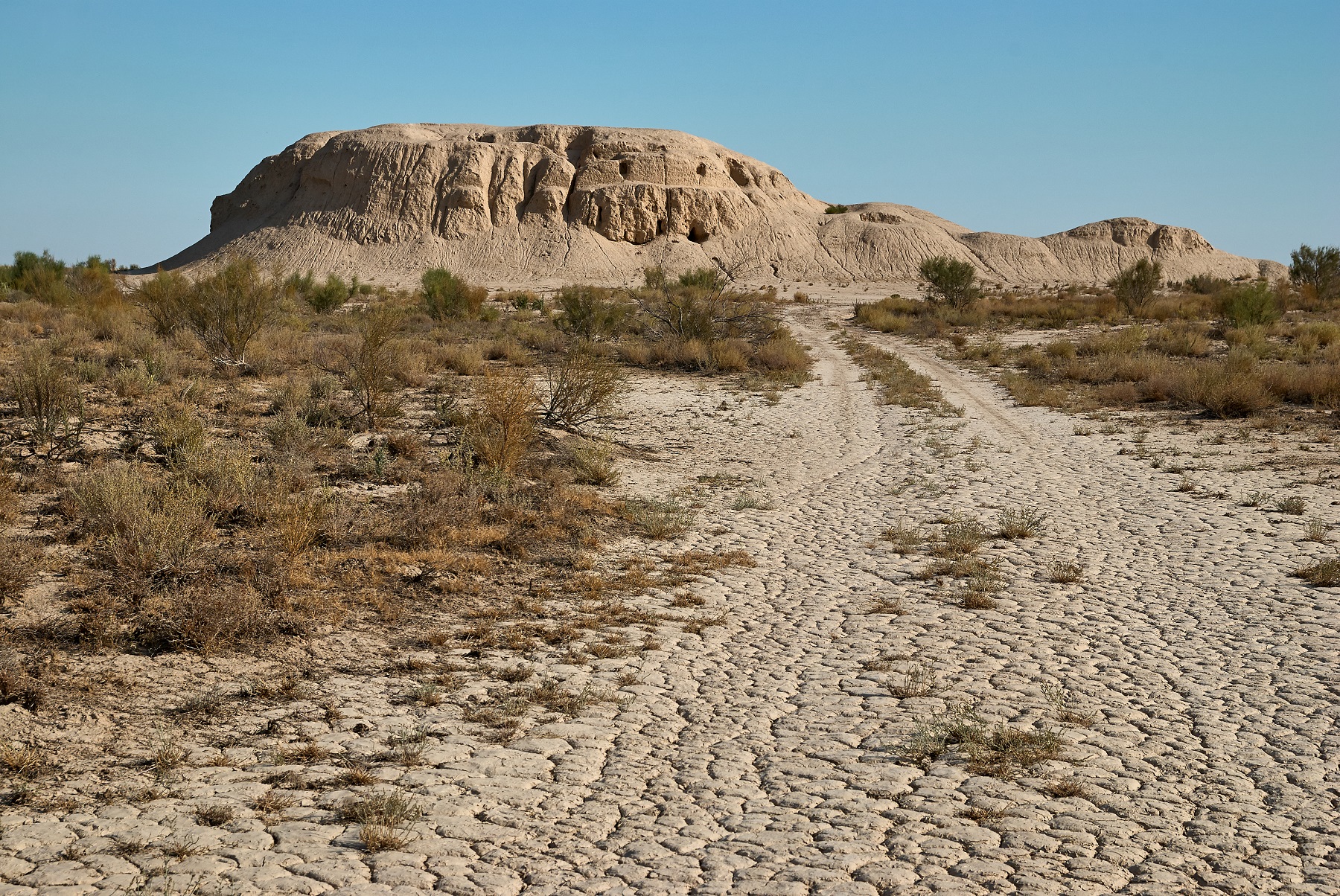 جەردىڭ شولەيتتەنۋى – وزەكتى ماسەلە