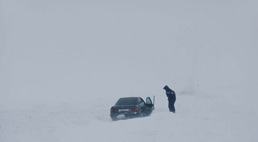 قار قۇرساۋىنان قۇتقارىلدى