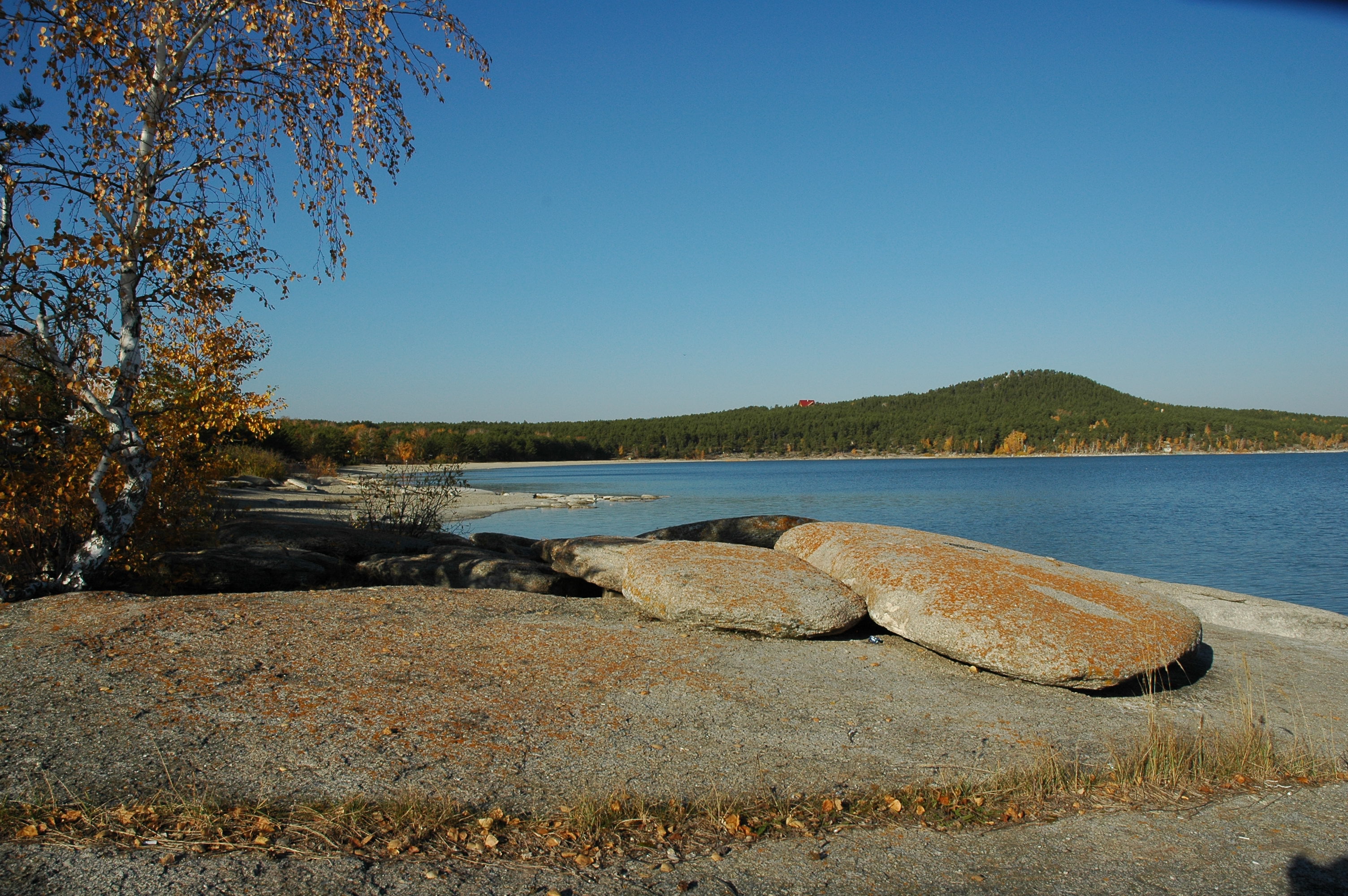 زەرەندىدە 500-گە جۋىق جاڭا جۇمىس ورنى اشىلدى