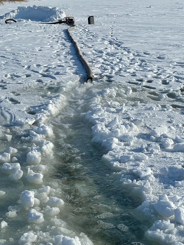 بالىققا كەلگەن ناۋبەت