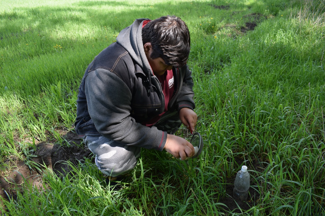 دالا اتىرابىن زەرتتەپ ءجۇر