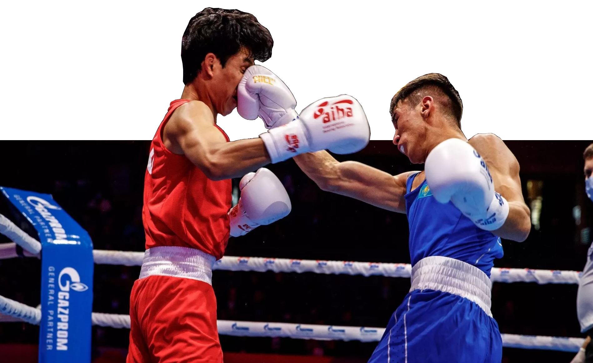 شيرەك فينالدا – 10 بوكسشىمىز