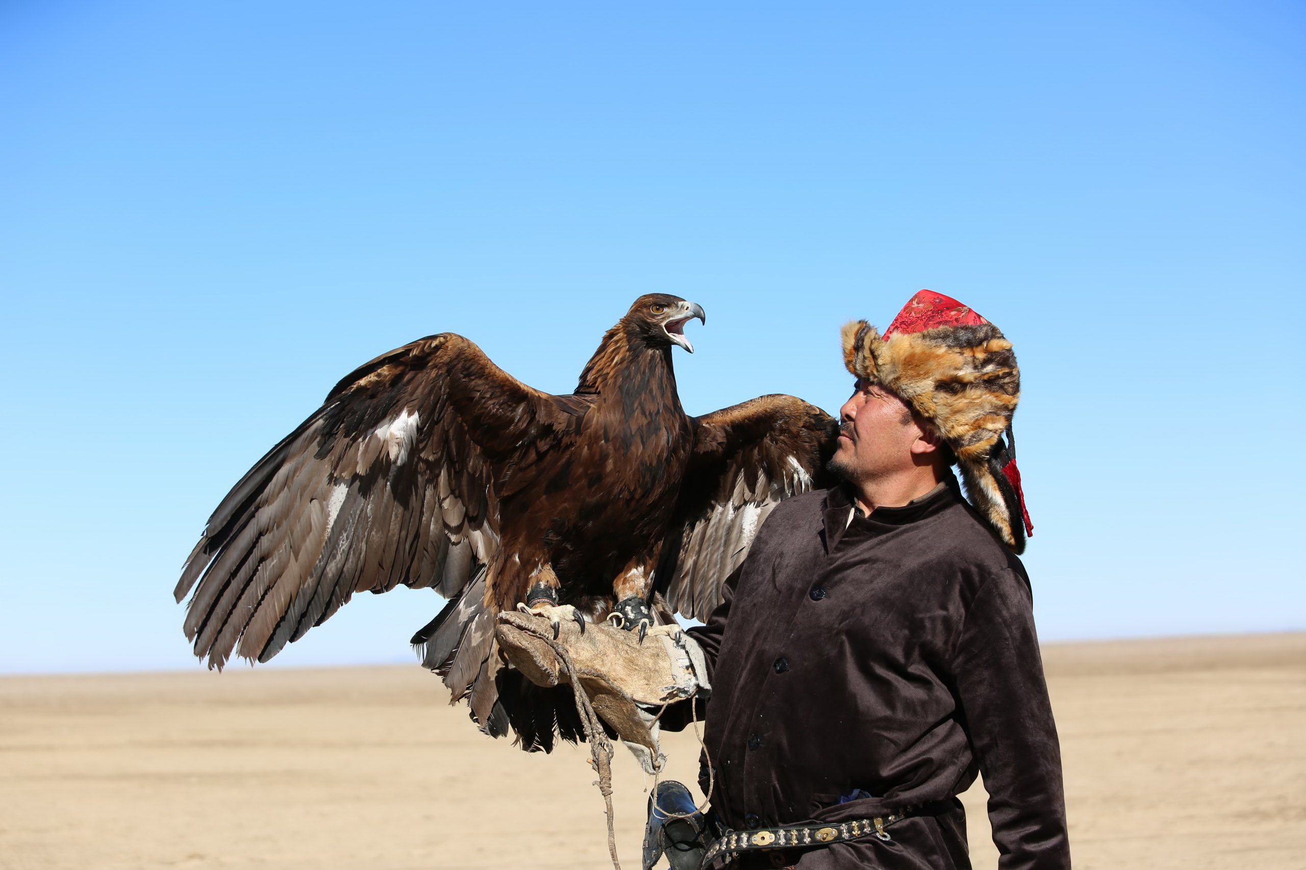 قاراتاۋ باۋرايىندا قىران قالقىپ...