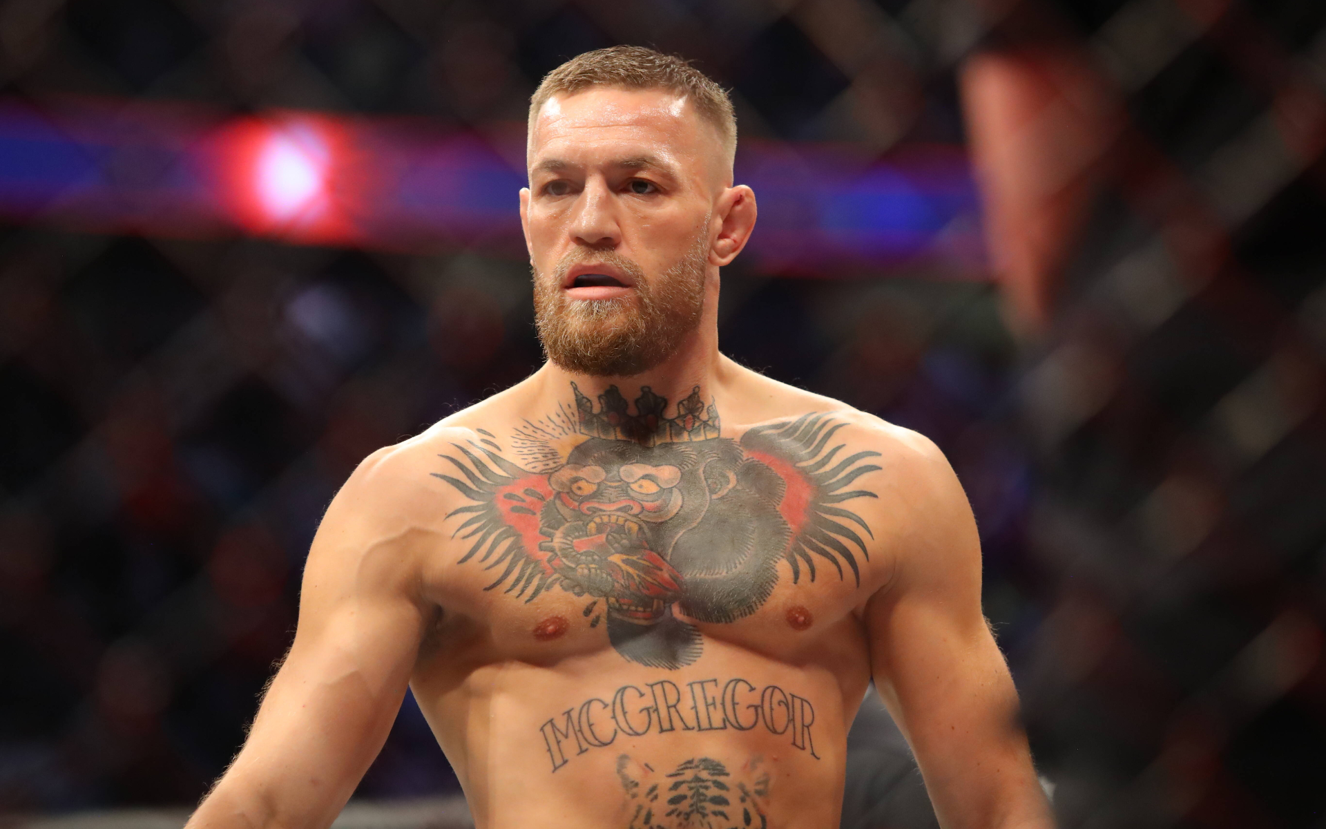 كونور ماكگرەگور وكتاگونعا قاشان ورالاتىنىن ايتتى