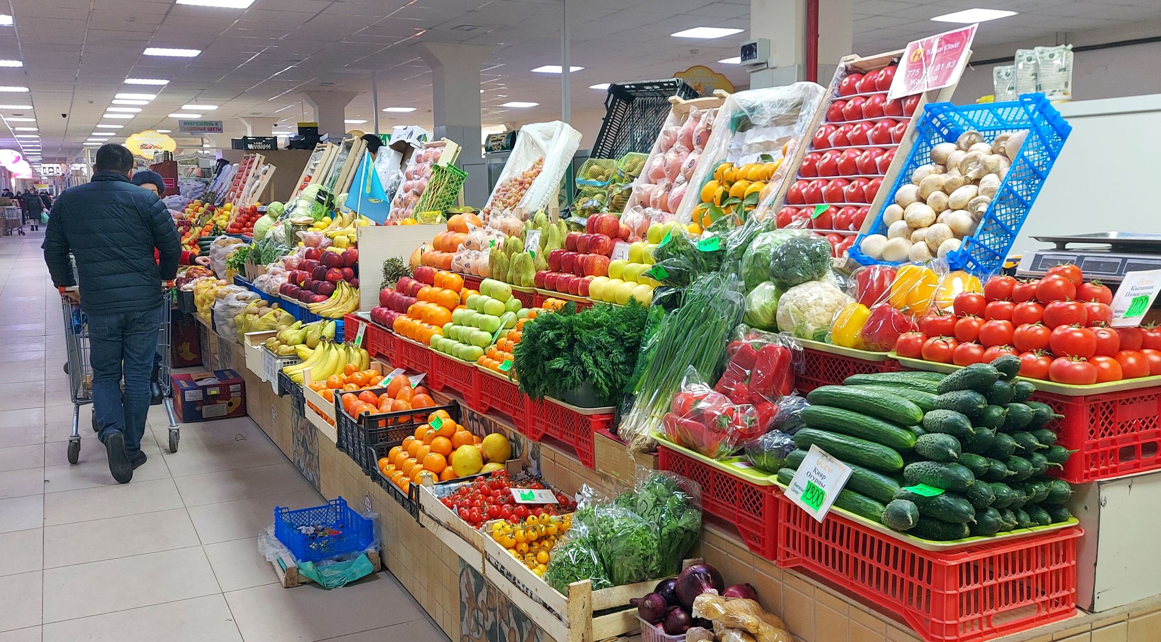 قىزىلوردادا ازىق-ت ۇلىك نەگە قىمبات؟