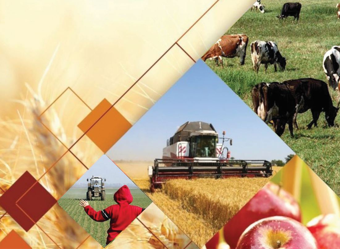 كولقاينارداعى كوپشىلىكتىڭ كوڭىلى الاڭ