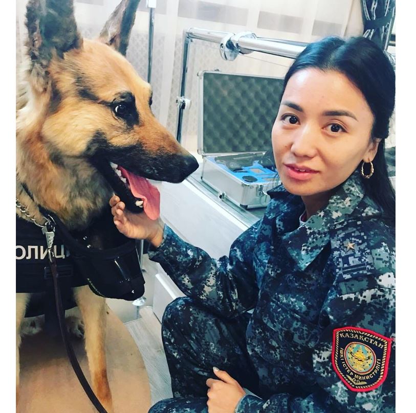 تەنتەكتەردى تەزگە سالعان تەرگەۋشى