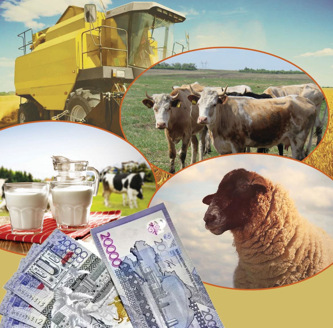 قاتەلىكتىڭ قۇنى – قايتارىلعان سۋبسيديا