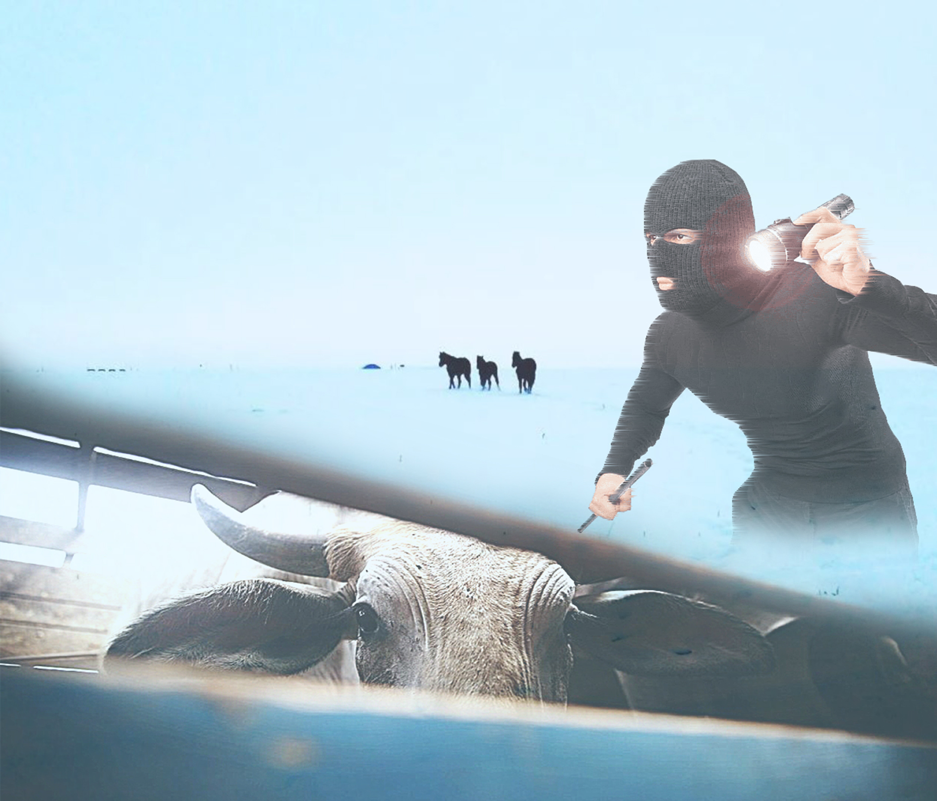 مال ۇرلىعىنا قارسى شارالار ۇدايى جۇرگىزىلىپ كەلەدى