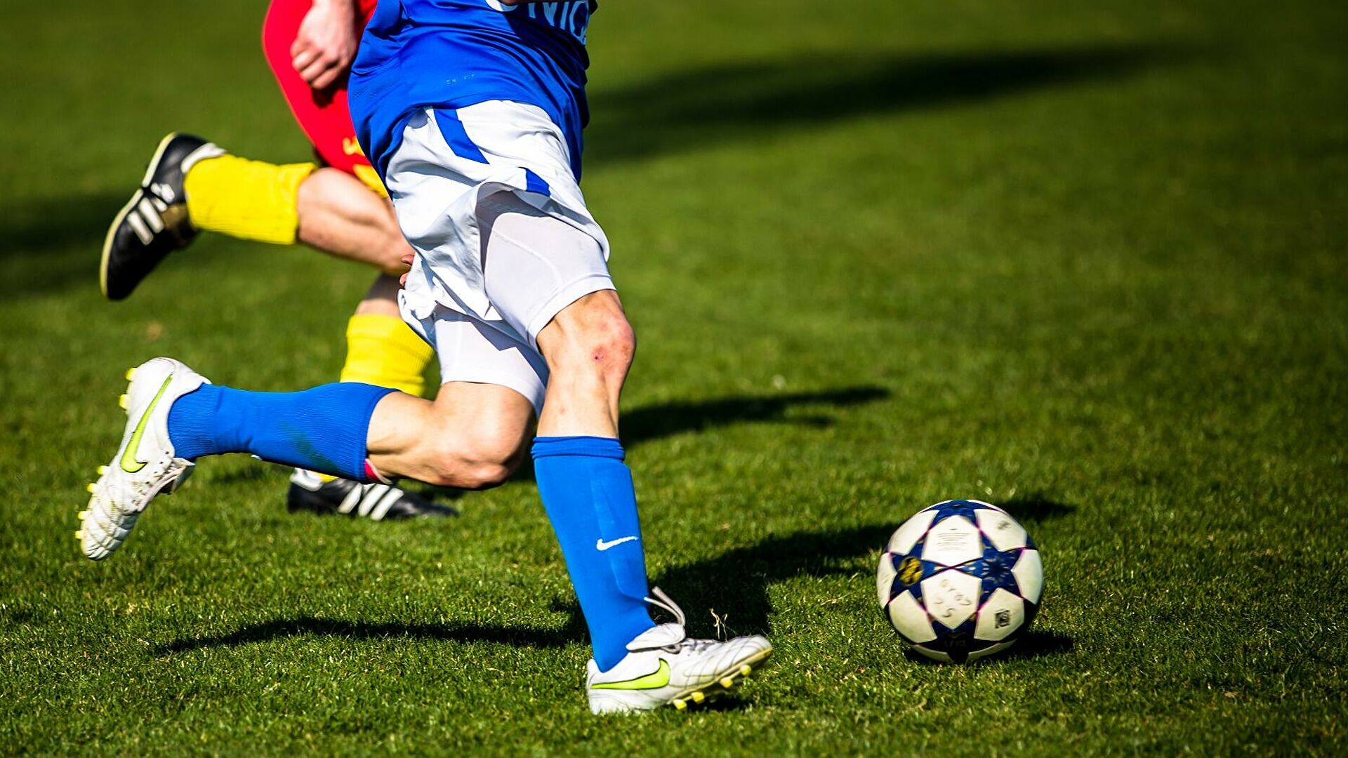 دايارلىقتارىن باستايدى