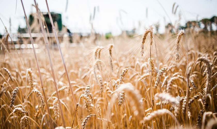 پرەزيدەنت جولداۋى اگروكەشەندى دامىتۋعا سەرپىن بەرەدى