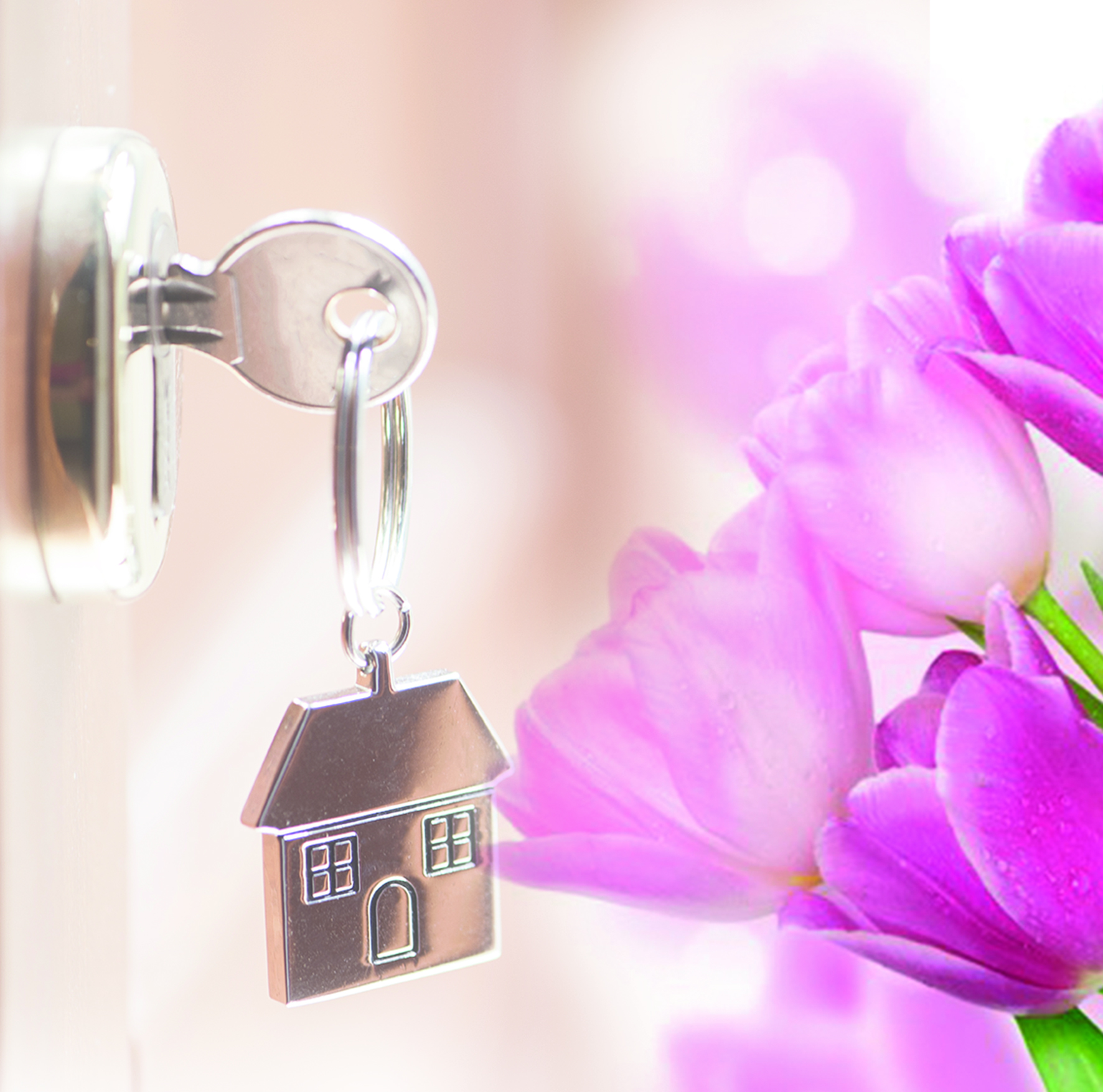 «شارشى مەتردىڭ» شاتتىعى