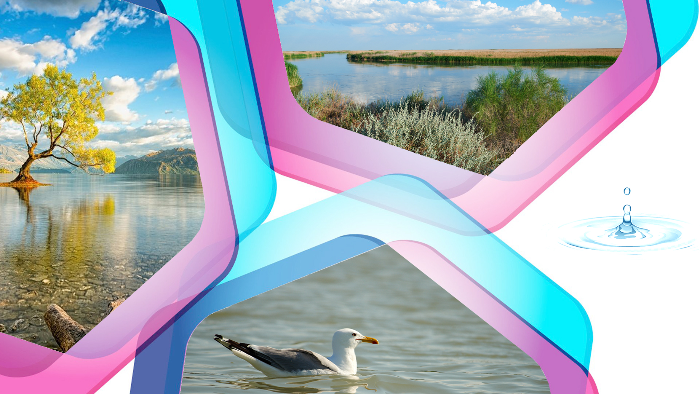 اپاتتى «قولدان جاساپ» الماساق يگى