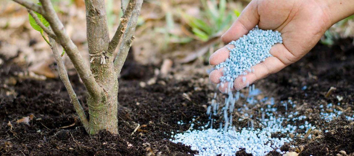 تىڭايتقىشتان تارىقپايمىز با؟