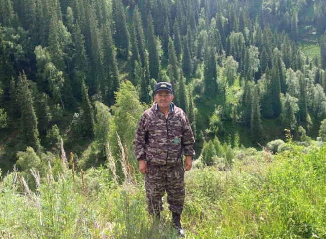 ورمان قورعاۋ دا وڭاي شارۋا ەمەس