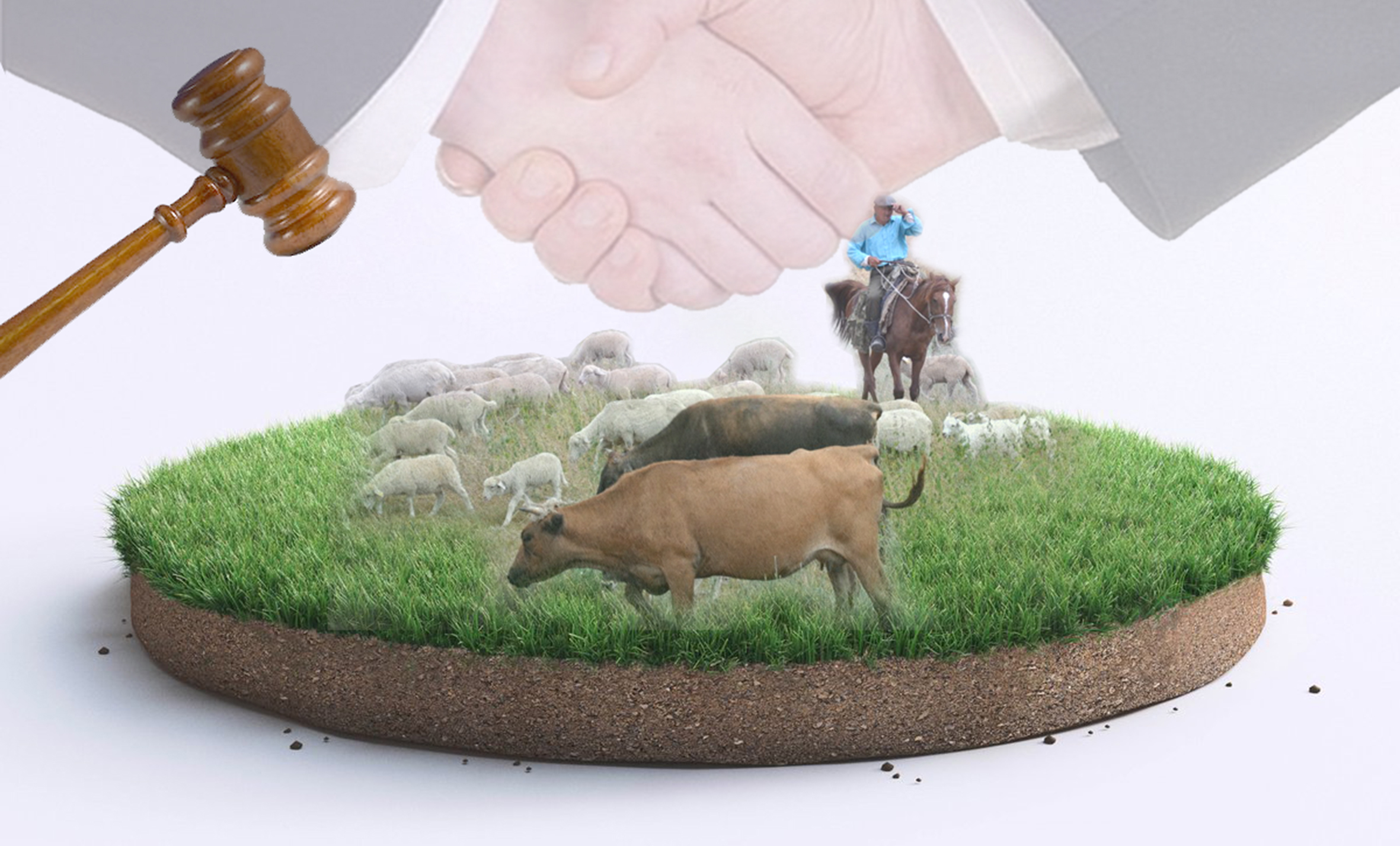 جايىلىم «جاراسى»