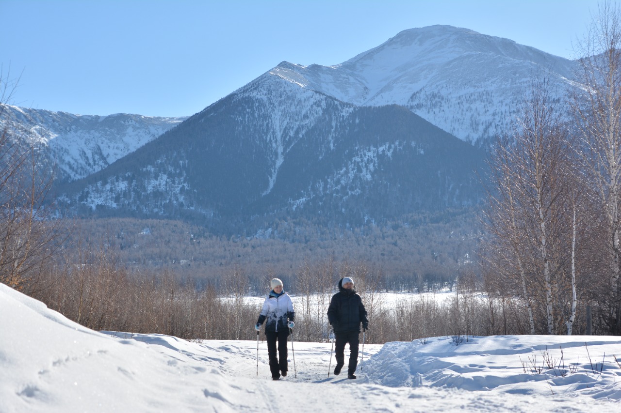«سكانديناۆيالىق  سەرۋەن» – سەرگەكتىك كەپىلى