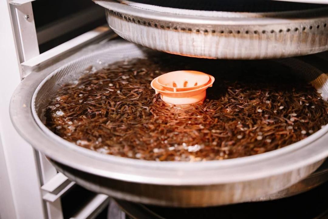 بالىق وسىرگەننىڭ بايلىعى كول-كوسىر