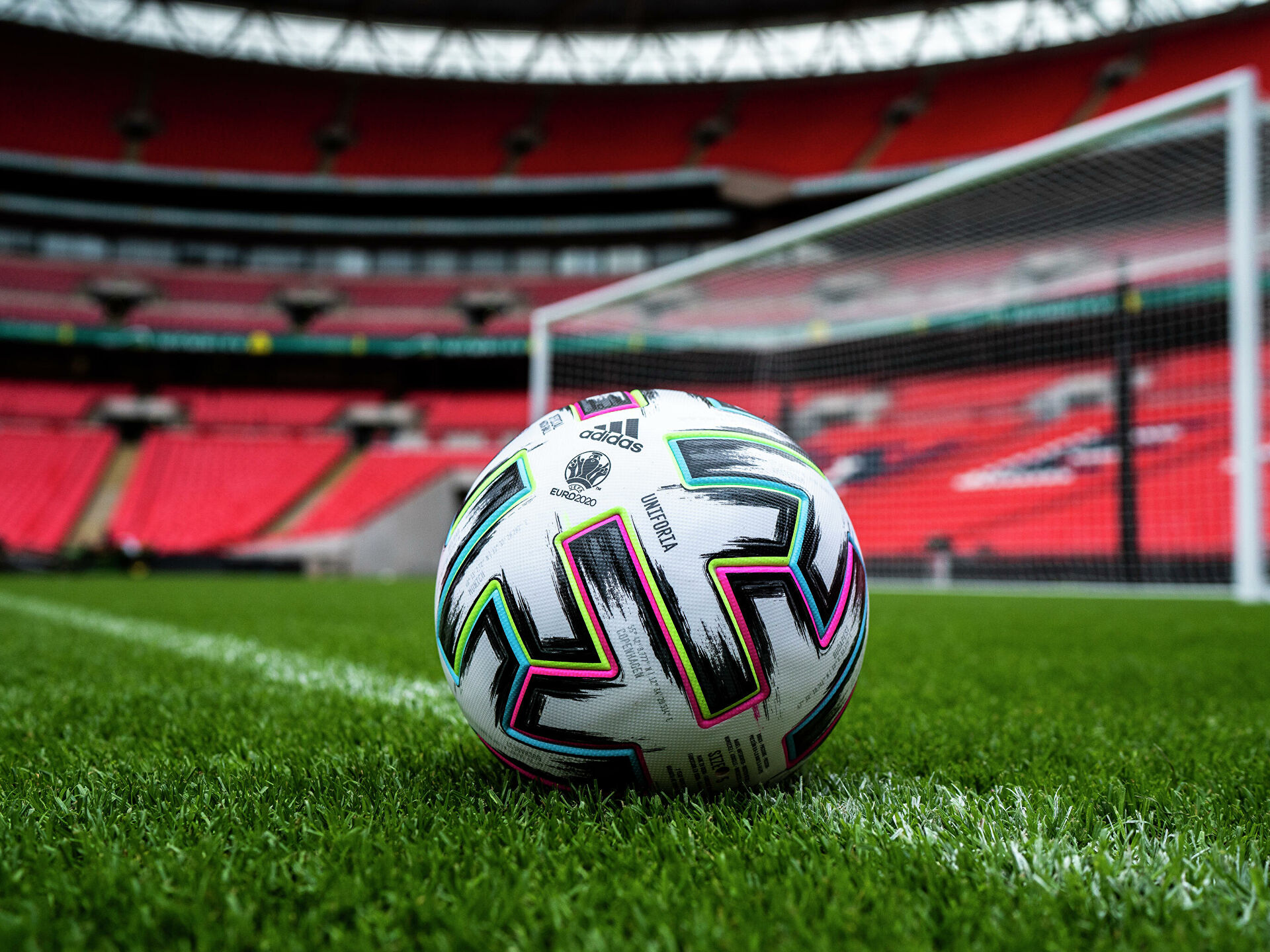 شيرەك فينال ويىندارى باستالدى