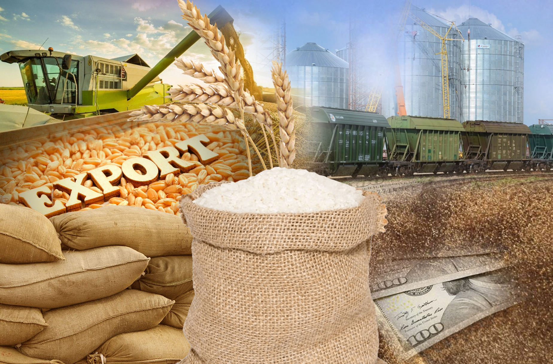 استىق ەكسپورتىنا ساقتىق كەرەك