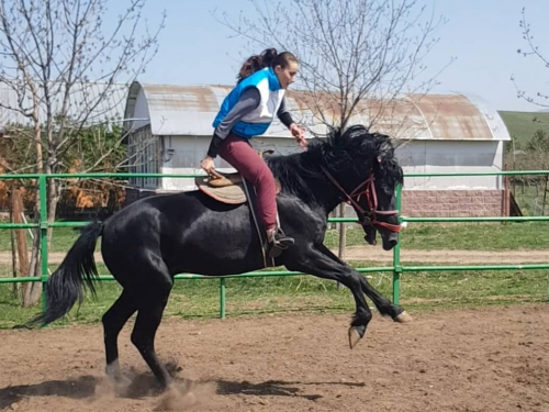 اساۋ اۋىزدىقتاعان ارۋ