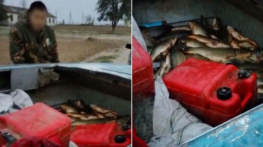 تۇركىستان وبلىسىندا براكونەرلەردەن 150 كگ بالىق تاركىلەندى