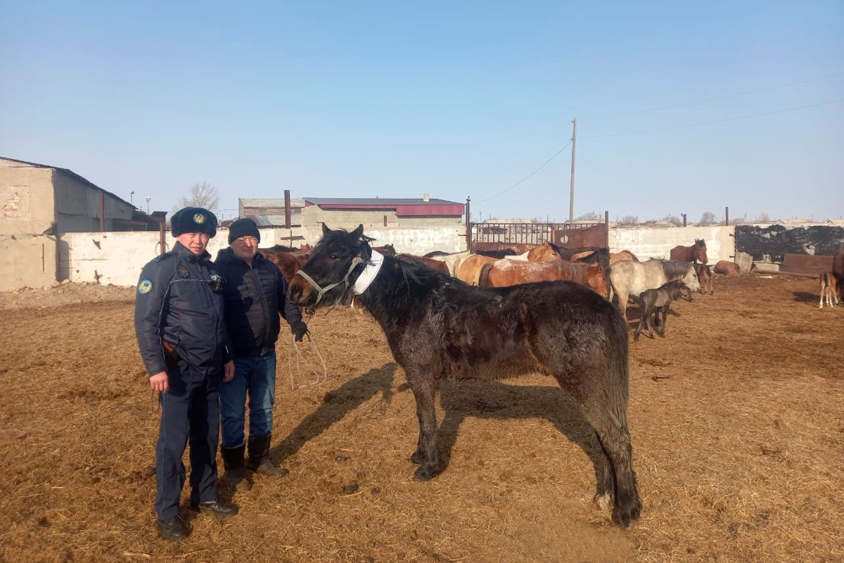 GPS-ترەكەرلەردىڭ كومەگى كوپ