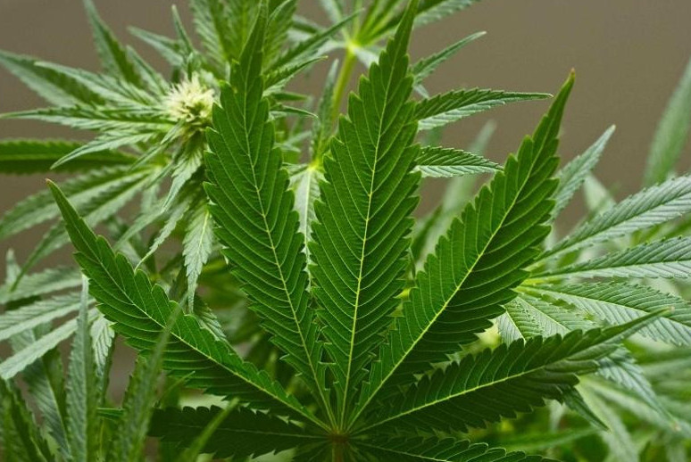 تۇركىستاندا 200 كەلى ەسىرتكى تاسىمالداعان تۇرعىن ۇستالدى