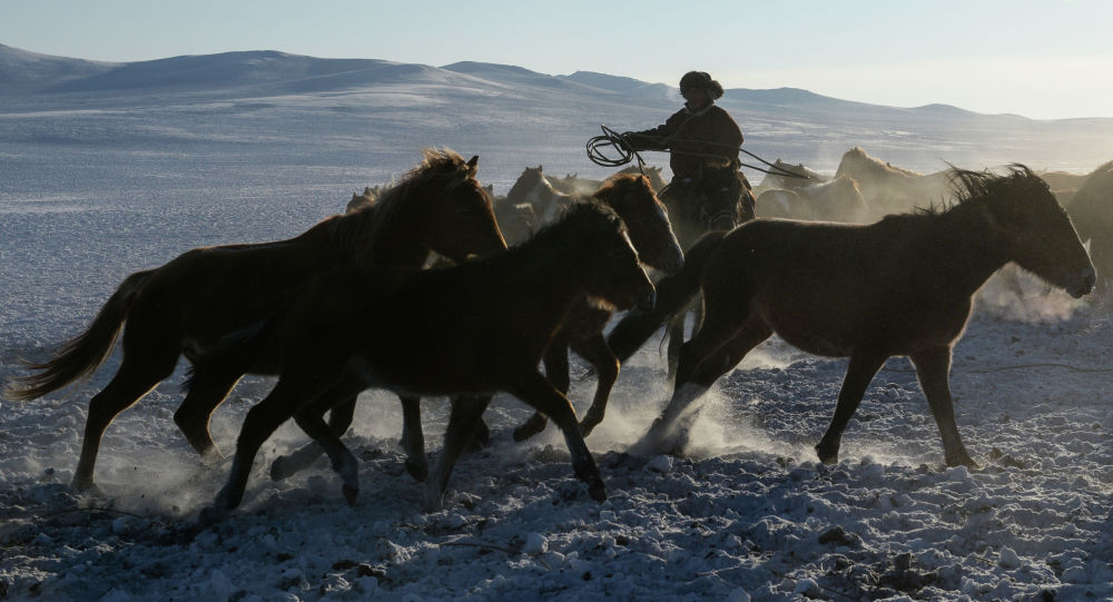 ۇقىپسىزدىڭ مالى ۇرىعا جەم