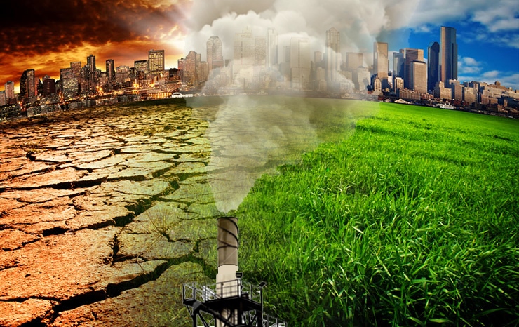 ورنيتولوگ عالىمدار باس قوستى