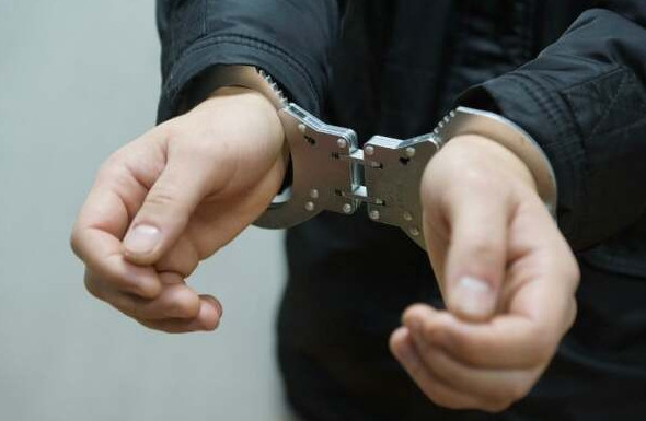 ۇيىنە ەسىرتكى جاسىرعان سارىاعاش تۇرعىنى ۇستالدى