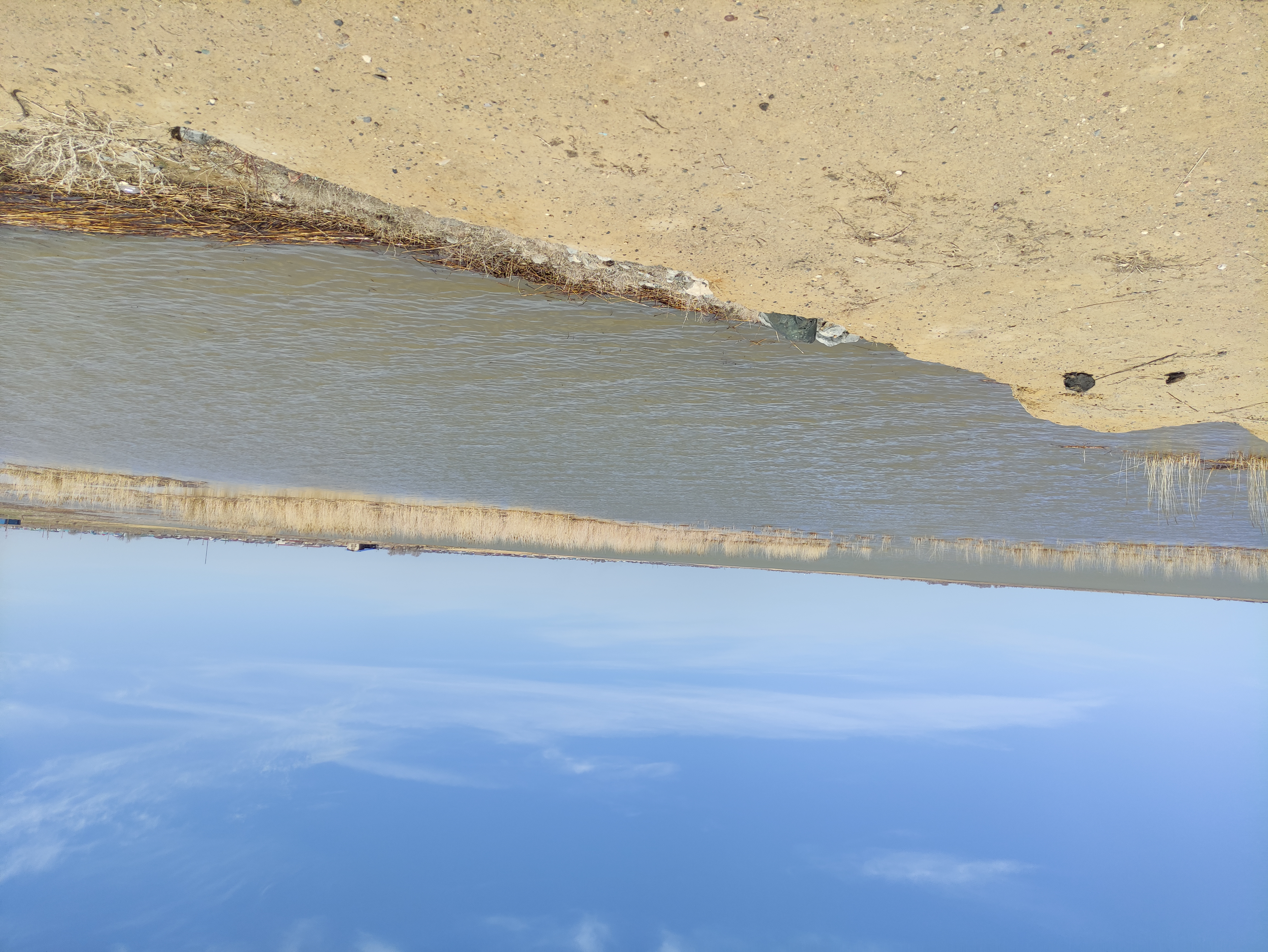 كول مەن سور