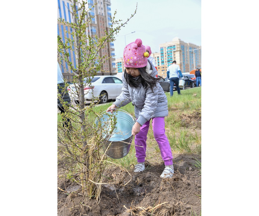 كوشەت كوكتەسە, كوپتىڭ يگىلىگى