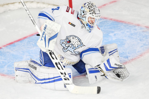 سۋومي ەلىندە سايىسقا تۇسەدى