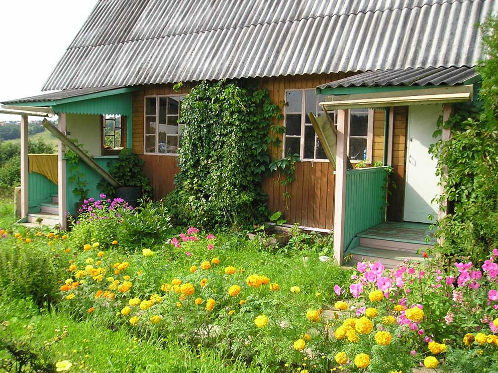 ساياجايى باردىڭ سىباعاسى مول