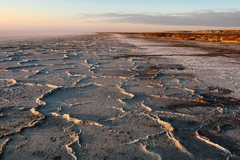 وزىق تاجىريبە مەن تەحنولوگيالار قاجەت