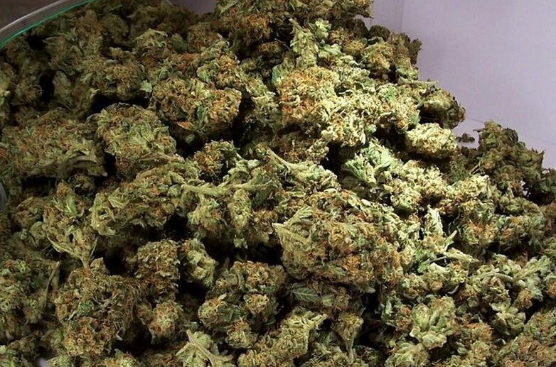 شۋ تۇرعىنىنان 160 كەلىدەن استام ەسىرتكى تاركىلەندى