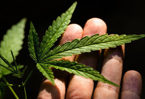 تەمىرتاۋدا ەسىرتكى جاسىرعان وقۋشى ۇستالدى