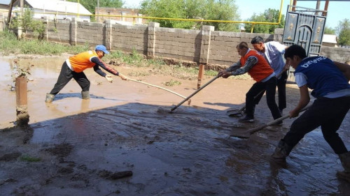 جەكسەنبىدەگى جاڭبىر: ەكى اۋداندا ۇيلەرگە سۋ كىرىپ, مال شىعىنى ورىن الدى