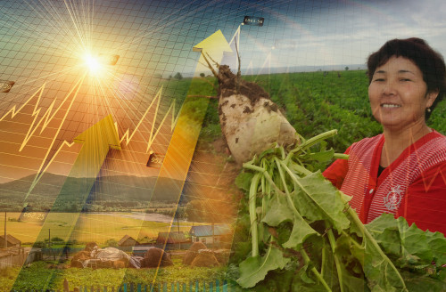 اۋىل كاسىپكەرلەرىن جەتكىلىكتى  دەڭگەيدە قولداۋ قاجەت