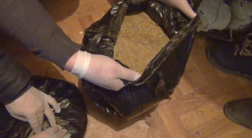 سەمەيلىك تۇرعىننان 5 كەلىدەن استام ماريحۋانا تاركىلەندى